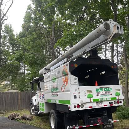 Tree service truck with a raised arm against a backdrop of trees; 