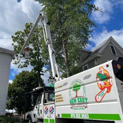 A tree service truck with a worker in a bucket trimming a tree next to a house.