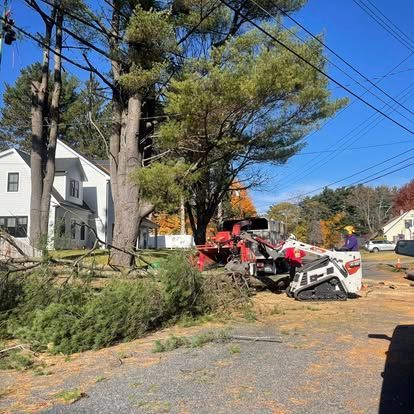 Tree removal in progress: large tree next to house, wood chipper, worker, and cut branches.