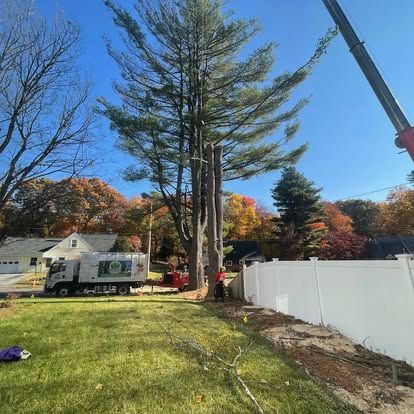 Tree removal in progress; crane and truck present, workers are at base of tree near a white fence.