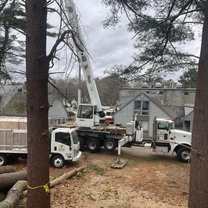 A white crane lifts a tree trunk next to a tree service truck and a building in a wooded area.
