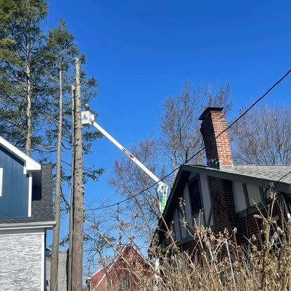 A cherry picker trims tall trees near a house on a sunny day.