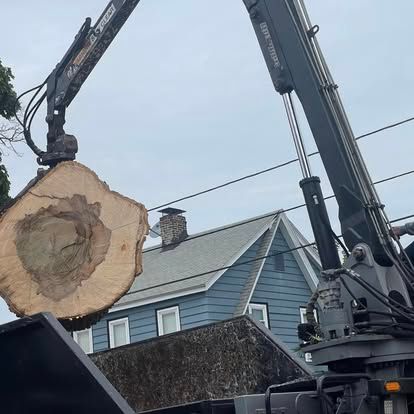 A crane lifting a large, cut tree trunk; blue house in background.