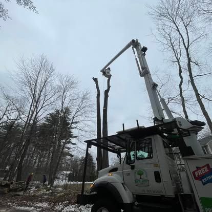 Tree trimming service truck with extended lift cutting tall trees on a cloudy day.