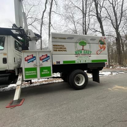 Tree removal truck with logo 