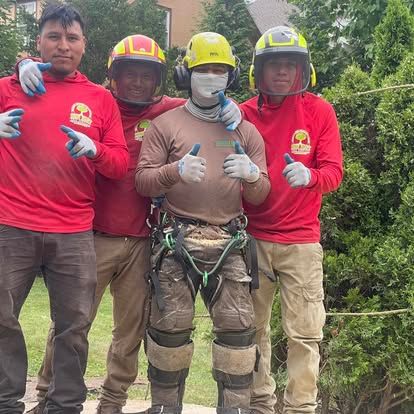 Four tree service workers in red shirts and helmets pose outdoors; one with safety gear.