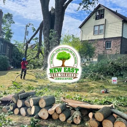Tree service worker cutting tree debris in a yard with chopped logs in the foreground; logo overlaid.