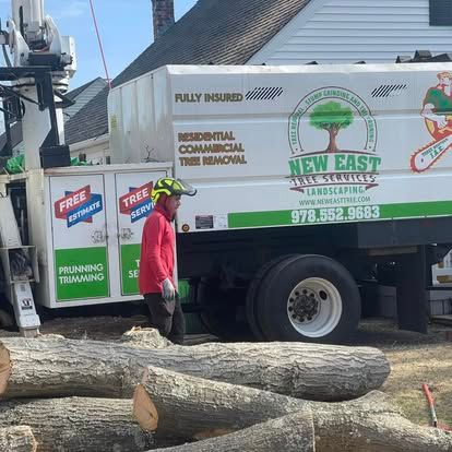 A tree service worker stands near a truck with logs. The truck has the company name "New East Tree Service".