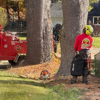 Arborist in red shirt and helmet next to a tree with a chainsaw, near a wood chipper.