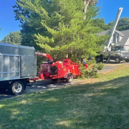 Tree removal: A wood chipper in action, red machine, next to a truck with tree debris, driveway of a house.