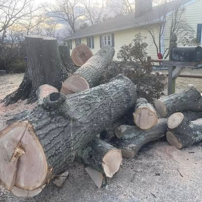 Logs and stump from a tree removal, piled near a house with beige siding.