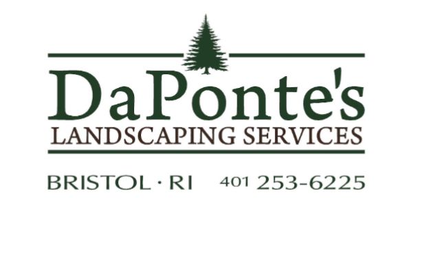 DaPontes logo
