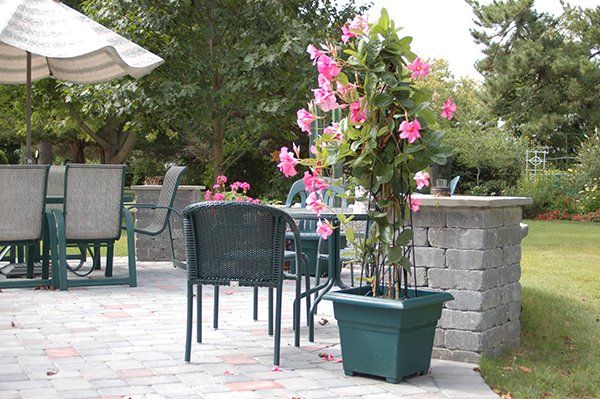 Patios and Hardscapes