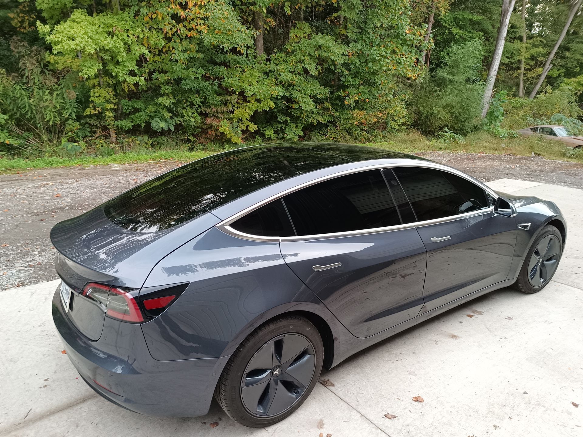 Gray Tesla car parked on concrete, with dark tinted windows and a black roof, in front of a wooded area.