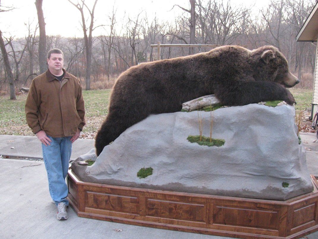 North American Animal Taxidermy