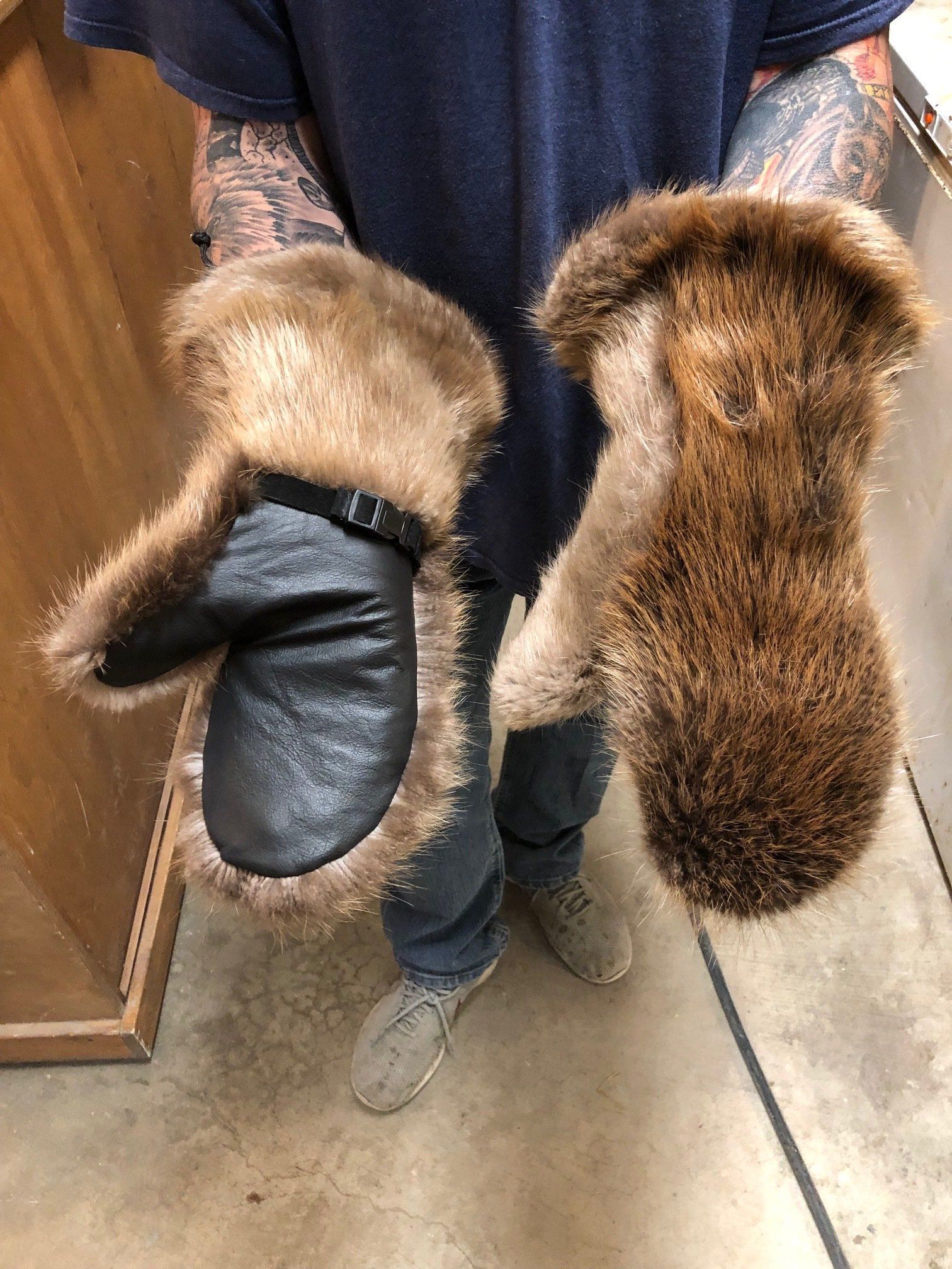 North American Animal Taxidermy