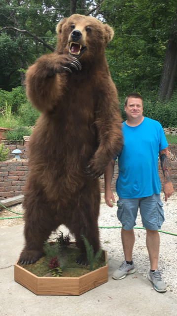 North American Animal Taxidermy