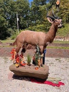 Taxidermied kudu with large horns, standing on a rock base, decorated with foliage outdoors