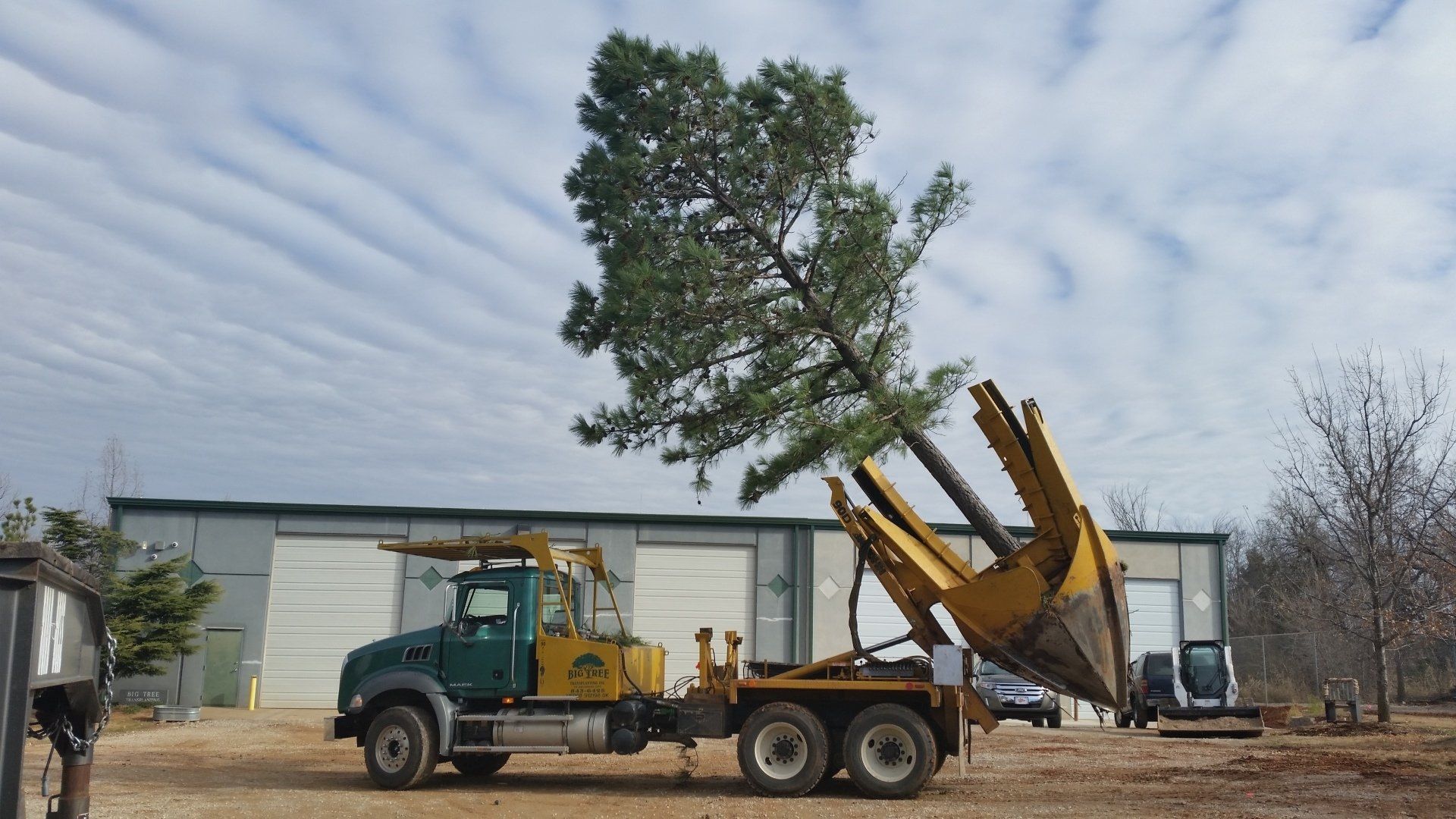 Big Tree Transplanting Transplanting Oklahoma City, OK
