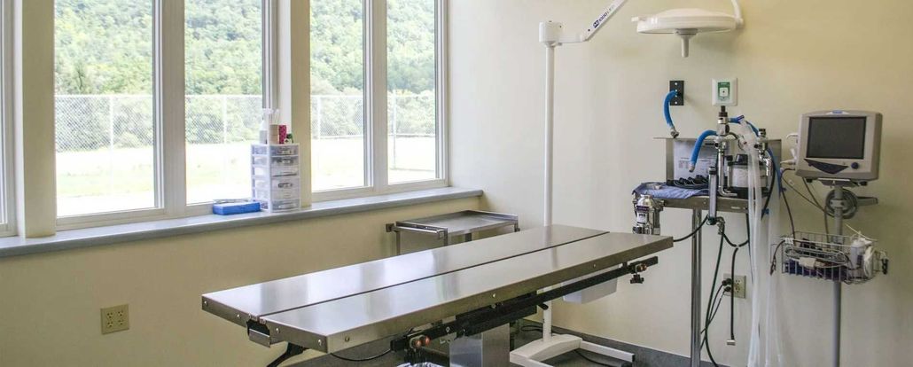 Wellsboro Small Animal Hospital P.C.