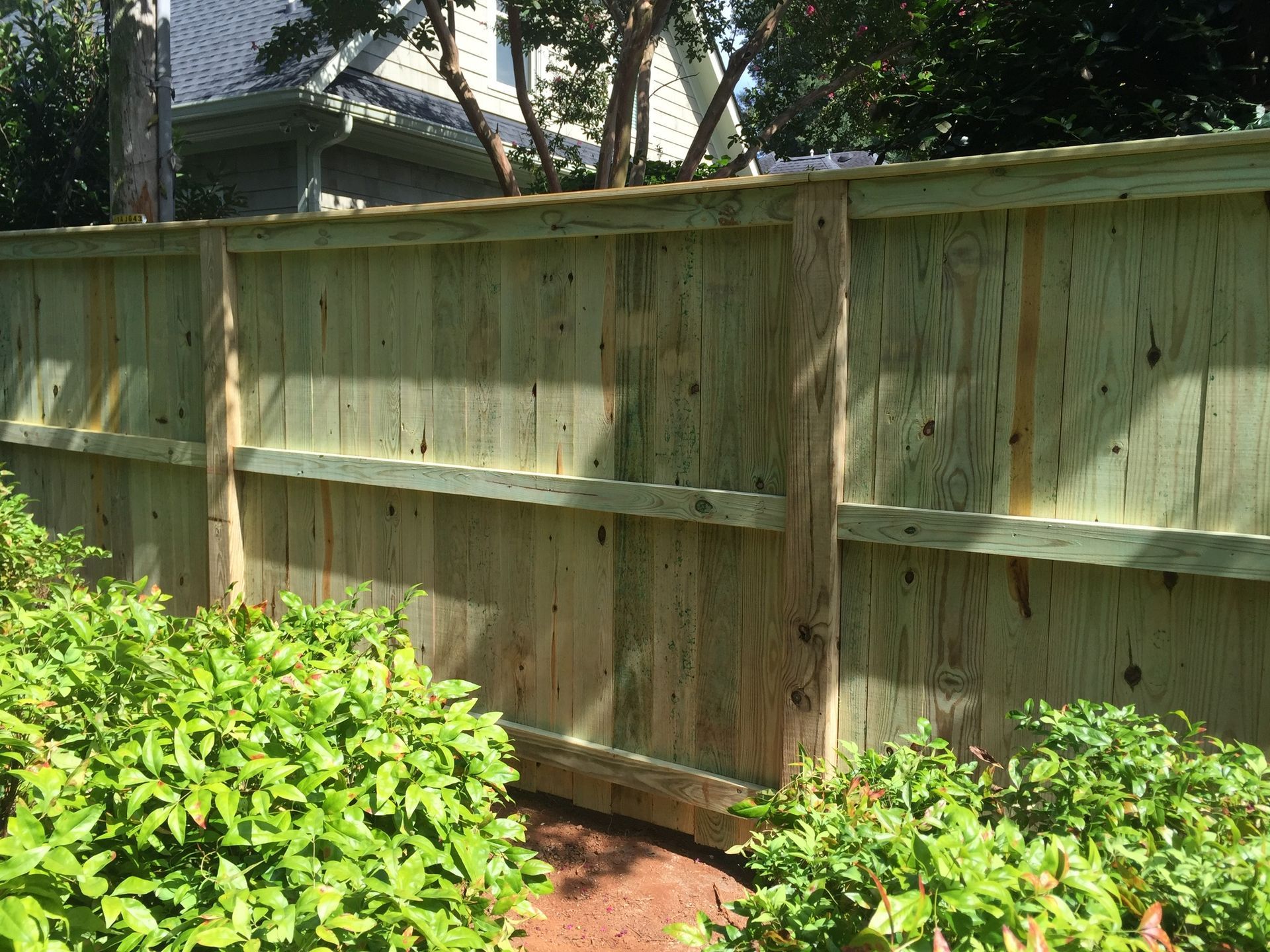 A wooden fence is surrounded by bushes and trees in a backyard.