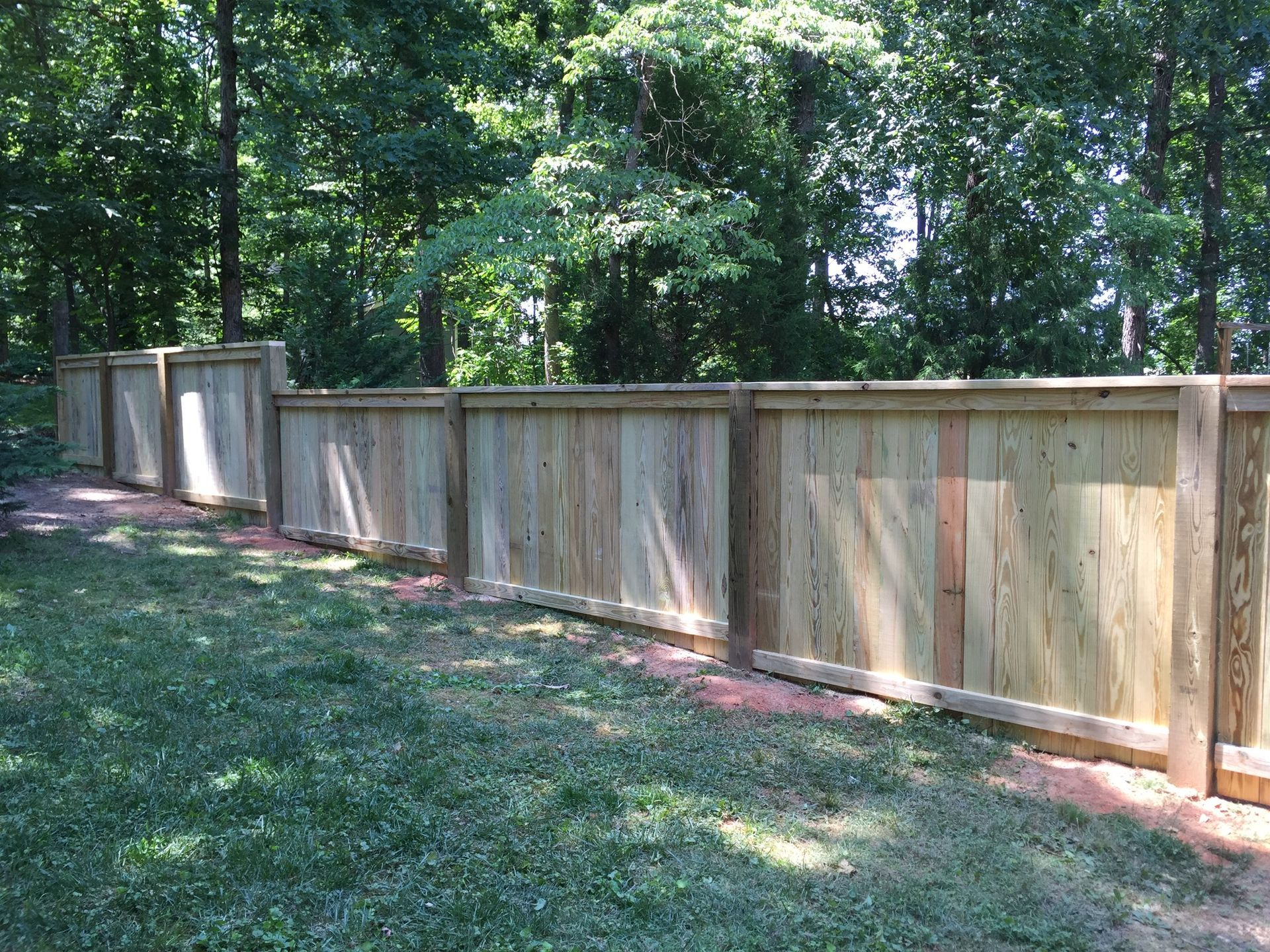 A wooden fence is surrounded by trees in a backyard.
