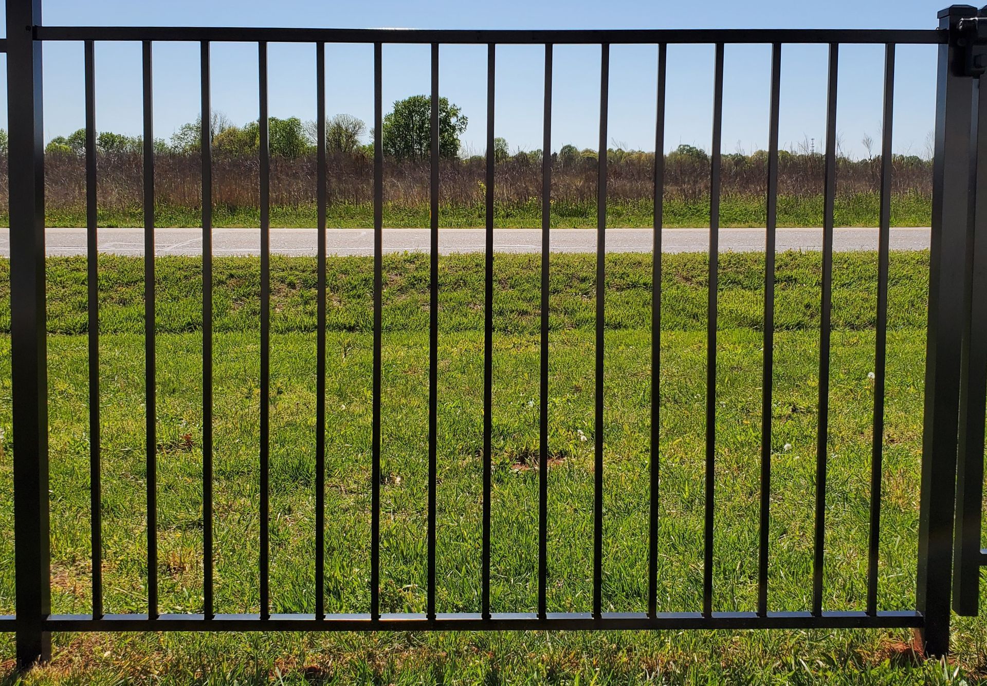 A black metal fence surrounds a grassy field