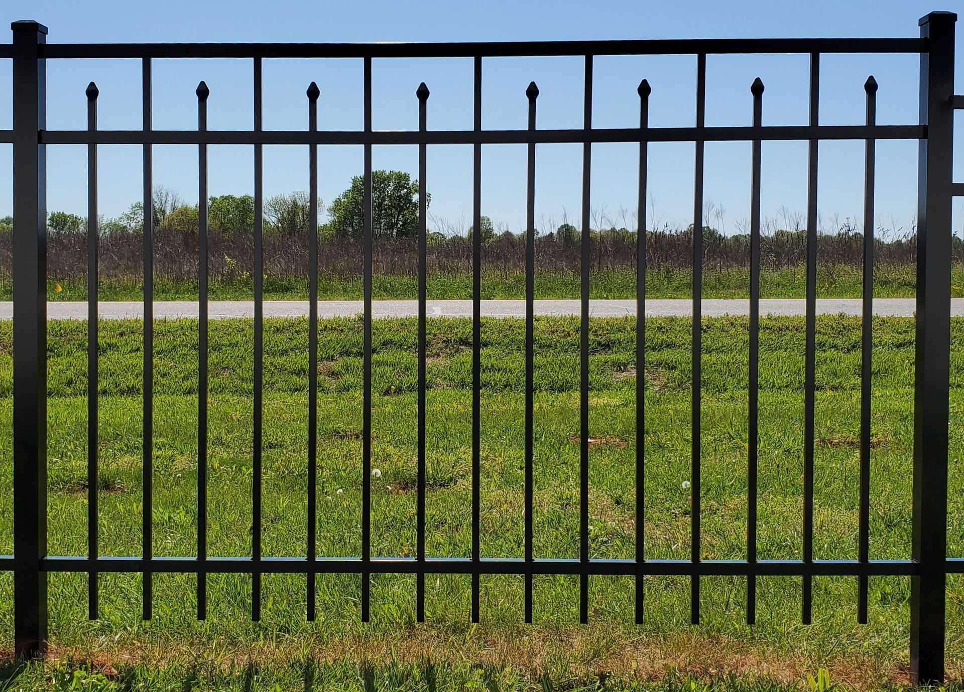 A black wrought iron fence surrounds a grassy field