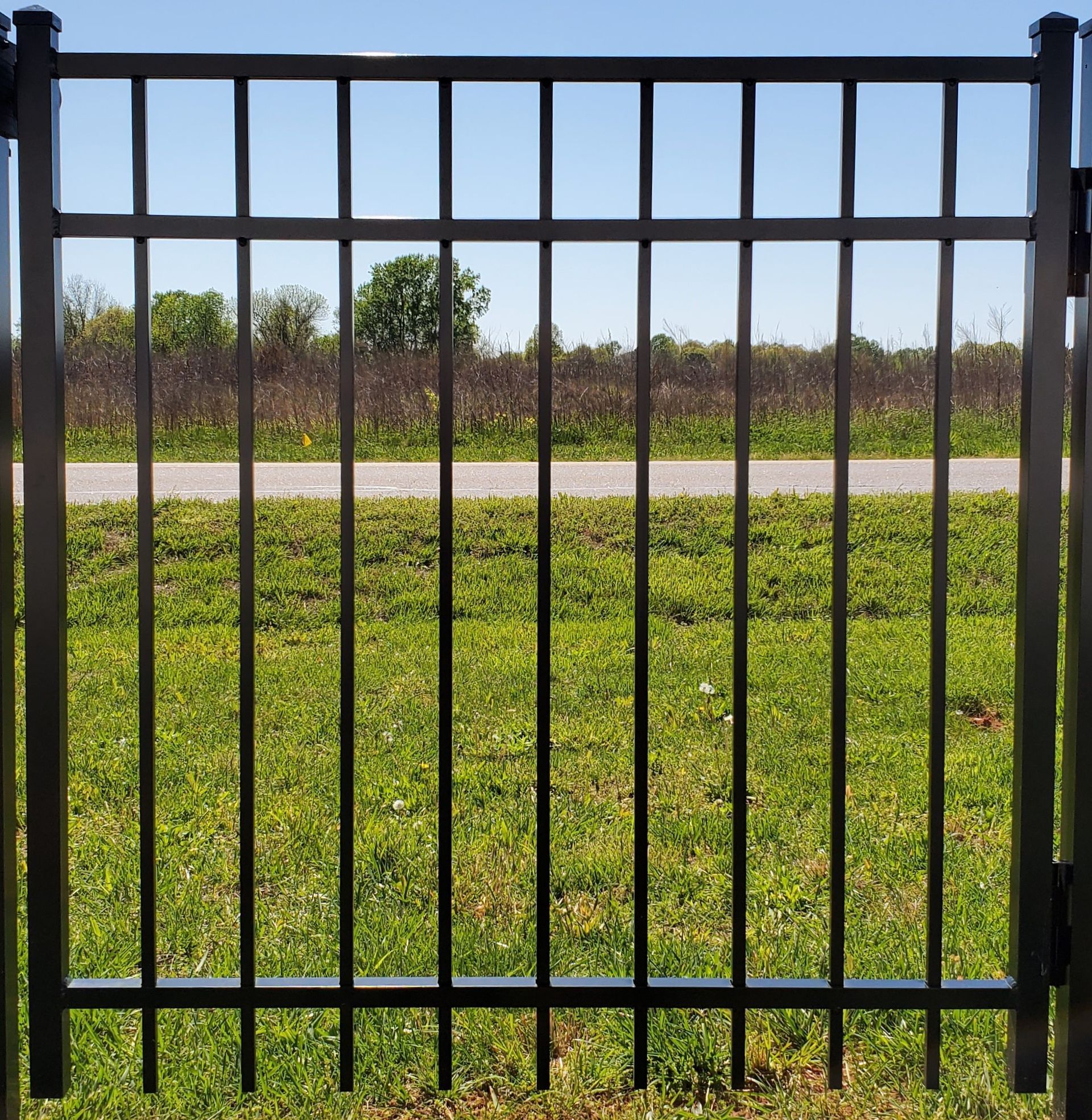 A black metal fence surrounds a grassy field with a road in the background.