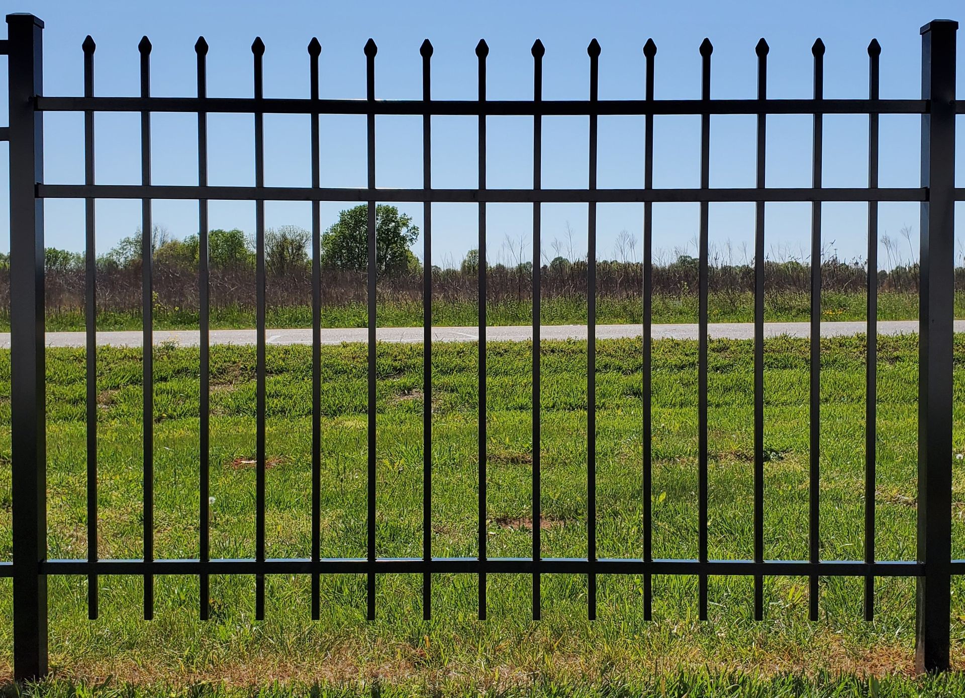 A black metal fence surrounds a grassy field