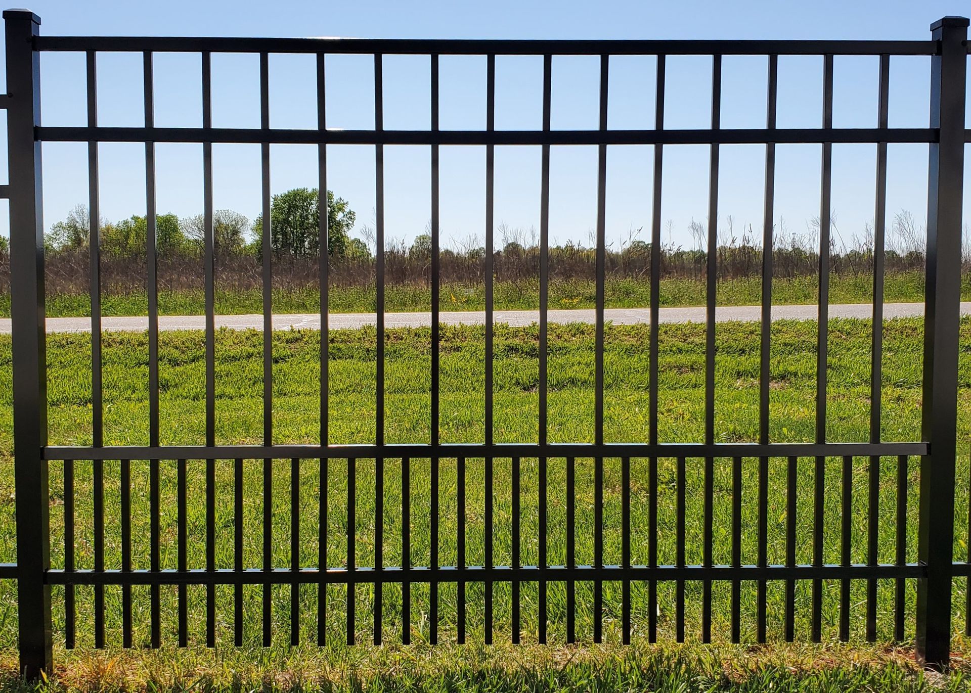 A black metal fence surrounds a grassy field