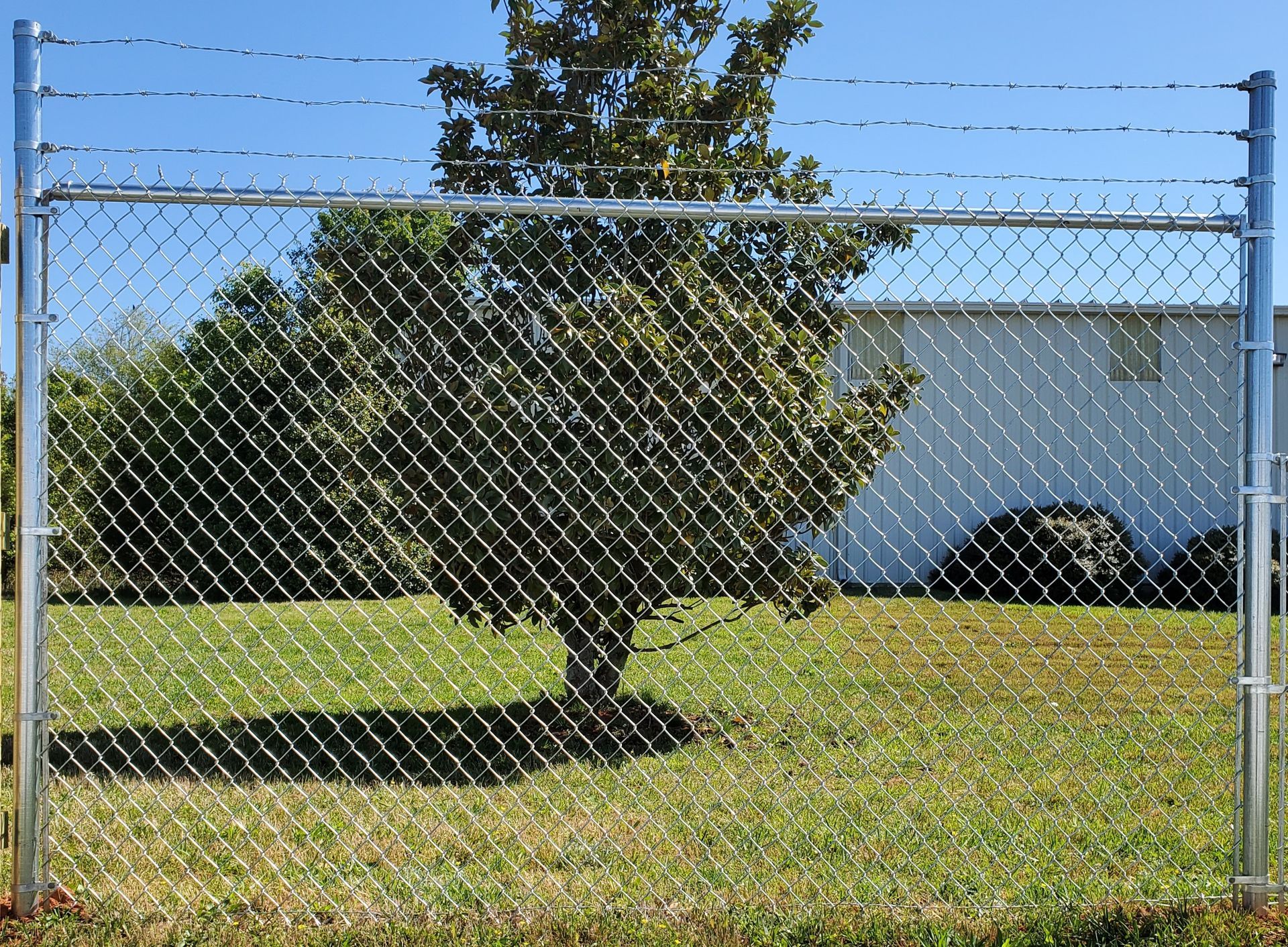A chain link fence with a tree in the background