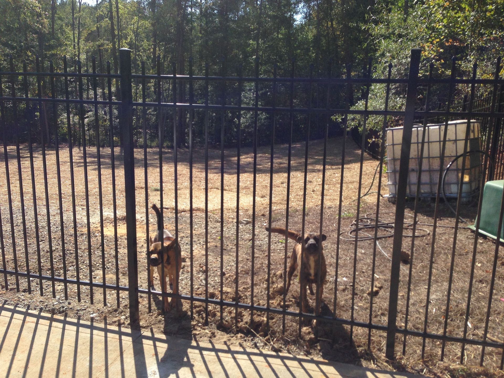 Aluminum Fence