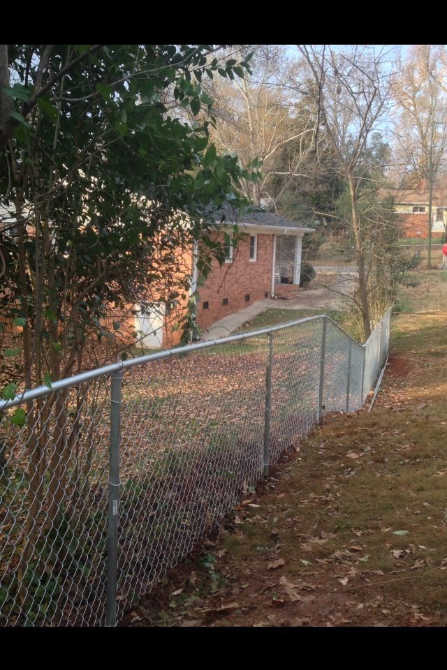 chain-link-fence