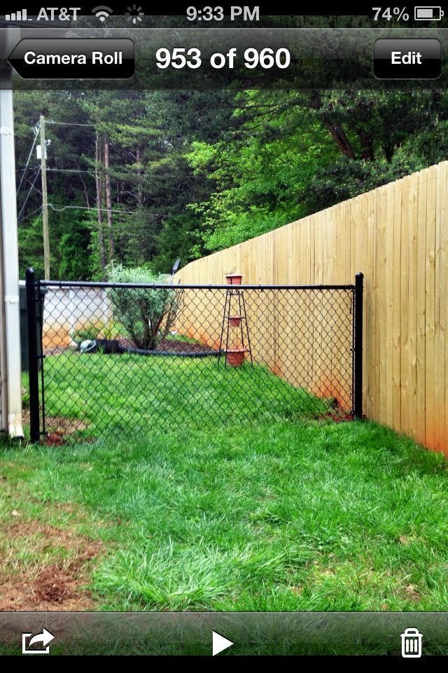 chain-link-fence