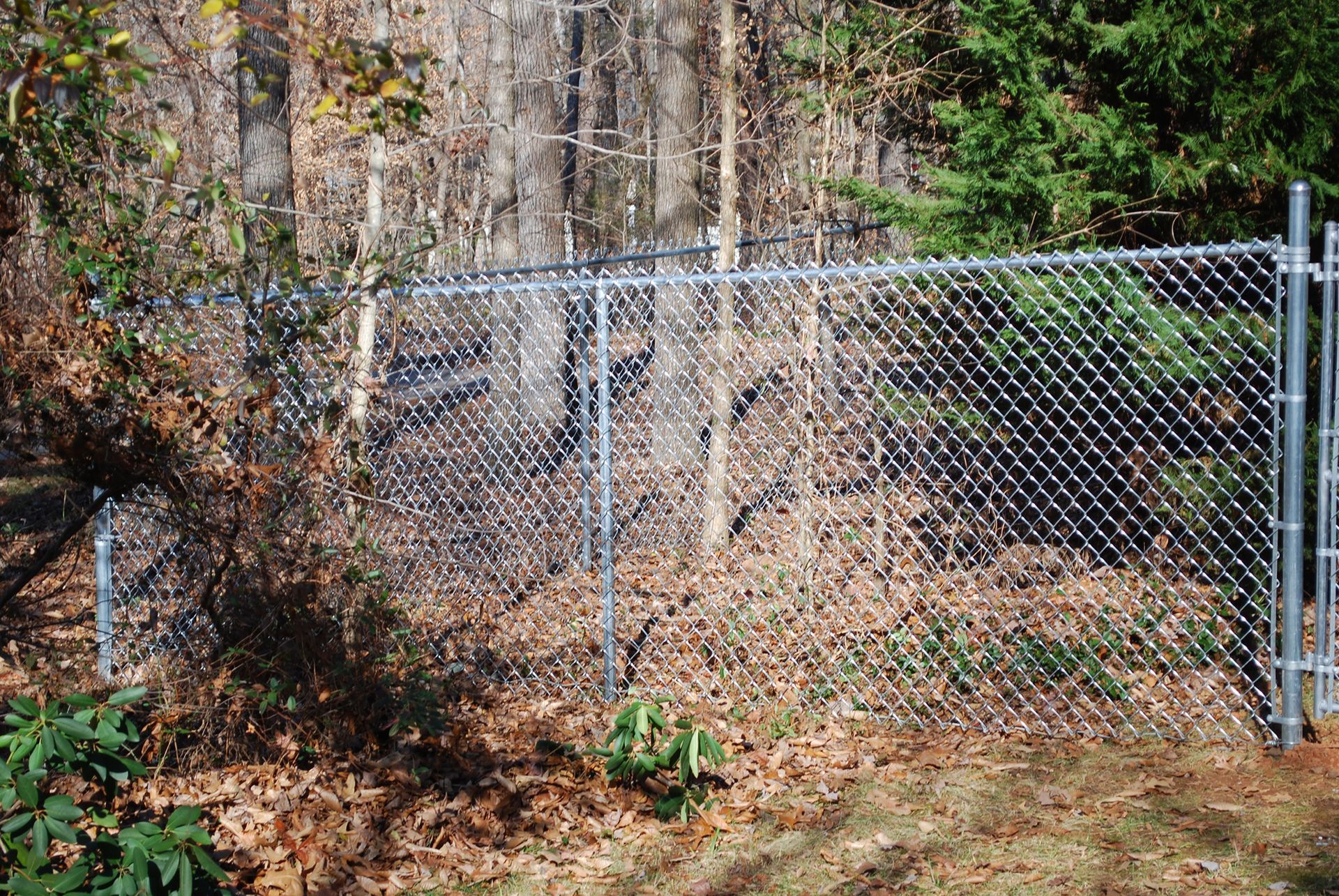 chain-link-fence