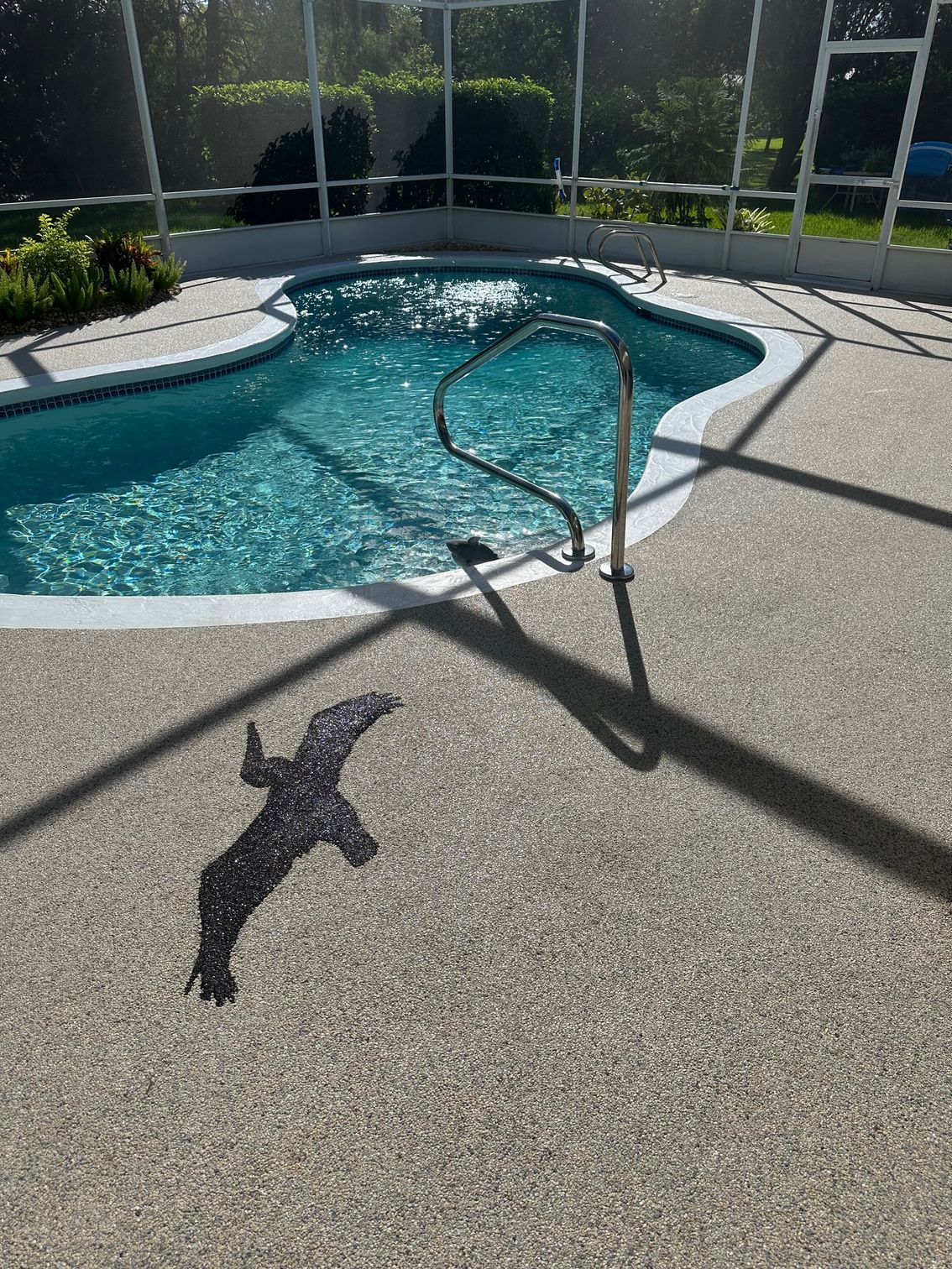 A swimming pool with a shadow of a bird on the floor.