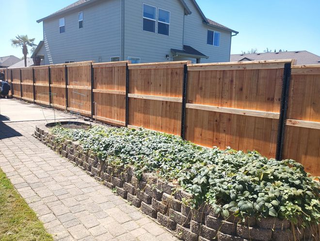 A stone-paved walkway next to a raised garden bed with green plants, fronted by a tall wood privacy fence and a house.