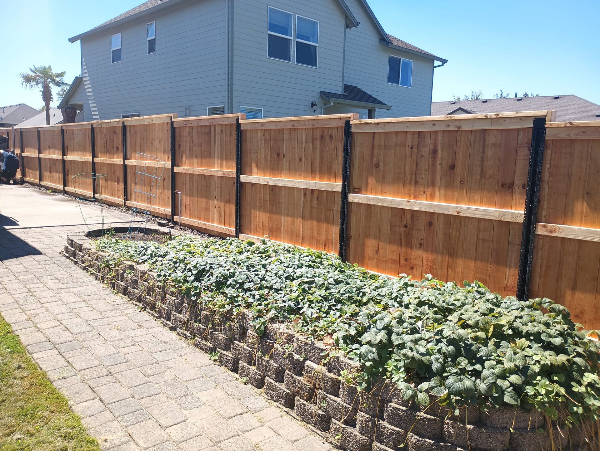 A wooden privacy fence borders a raised stone garden bed filled with green plants next to a paved stone walkway.