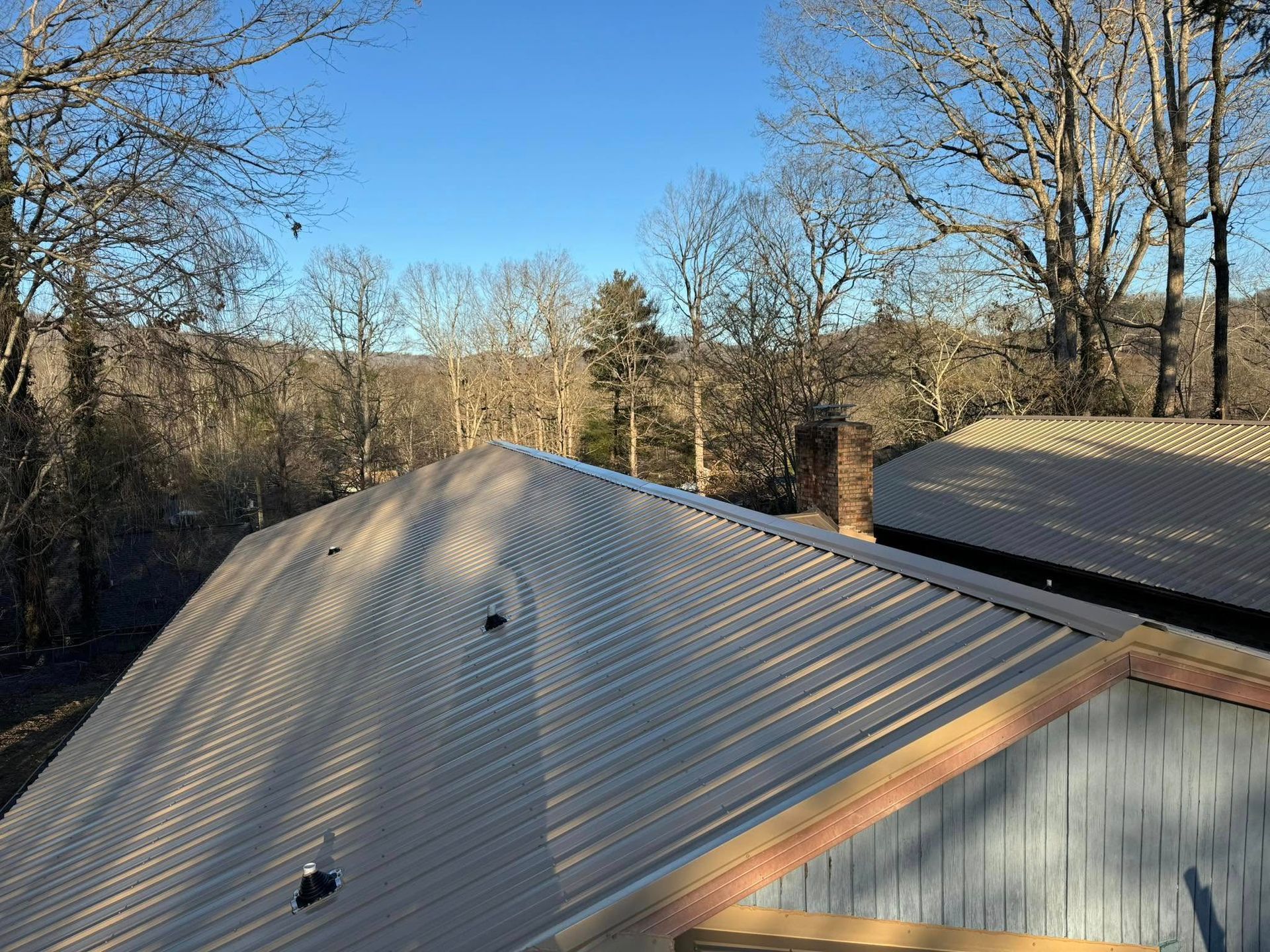 Metal roof on a blue building, with a forest in the background under a blue sky.