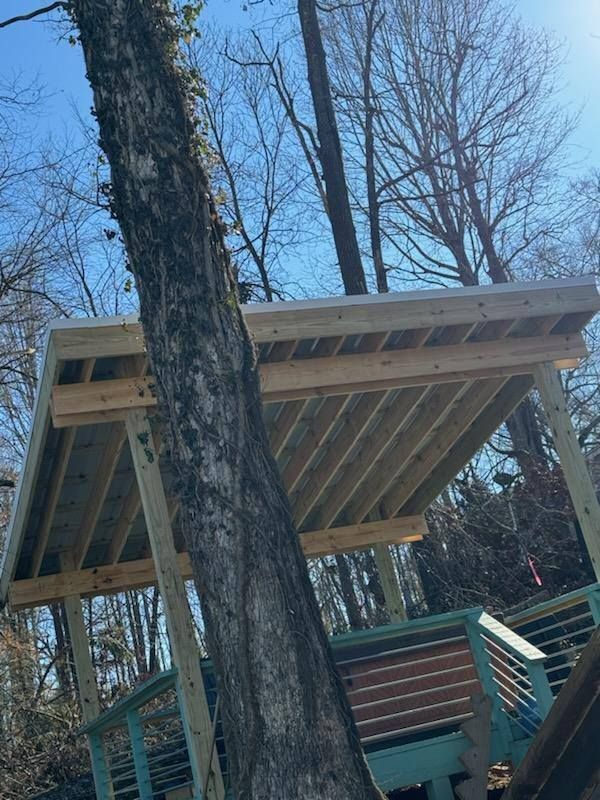 Wooden deck and roof structure built around a tree against a blue sky.