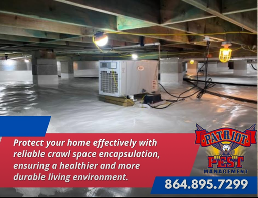An advertisement for patriot pest management says to protect your home effectively with reliable crawl space encapsulation