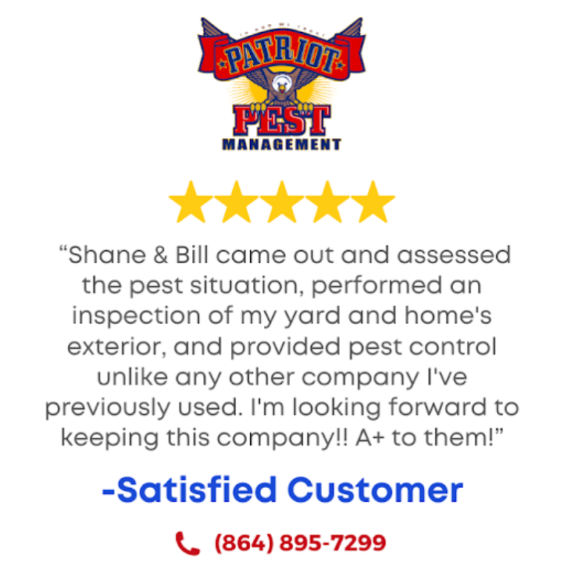 Customer review with five stars, text, and phone number