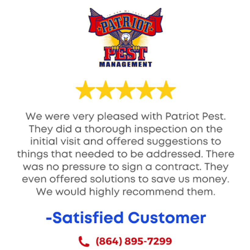 Patriot Pest Management testimonial with a 5-star review from a satisfied customer. Includes phone number.
