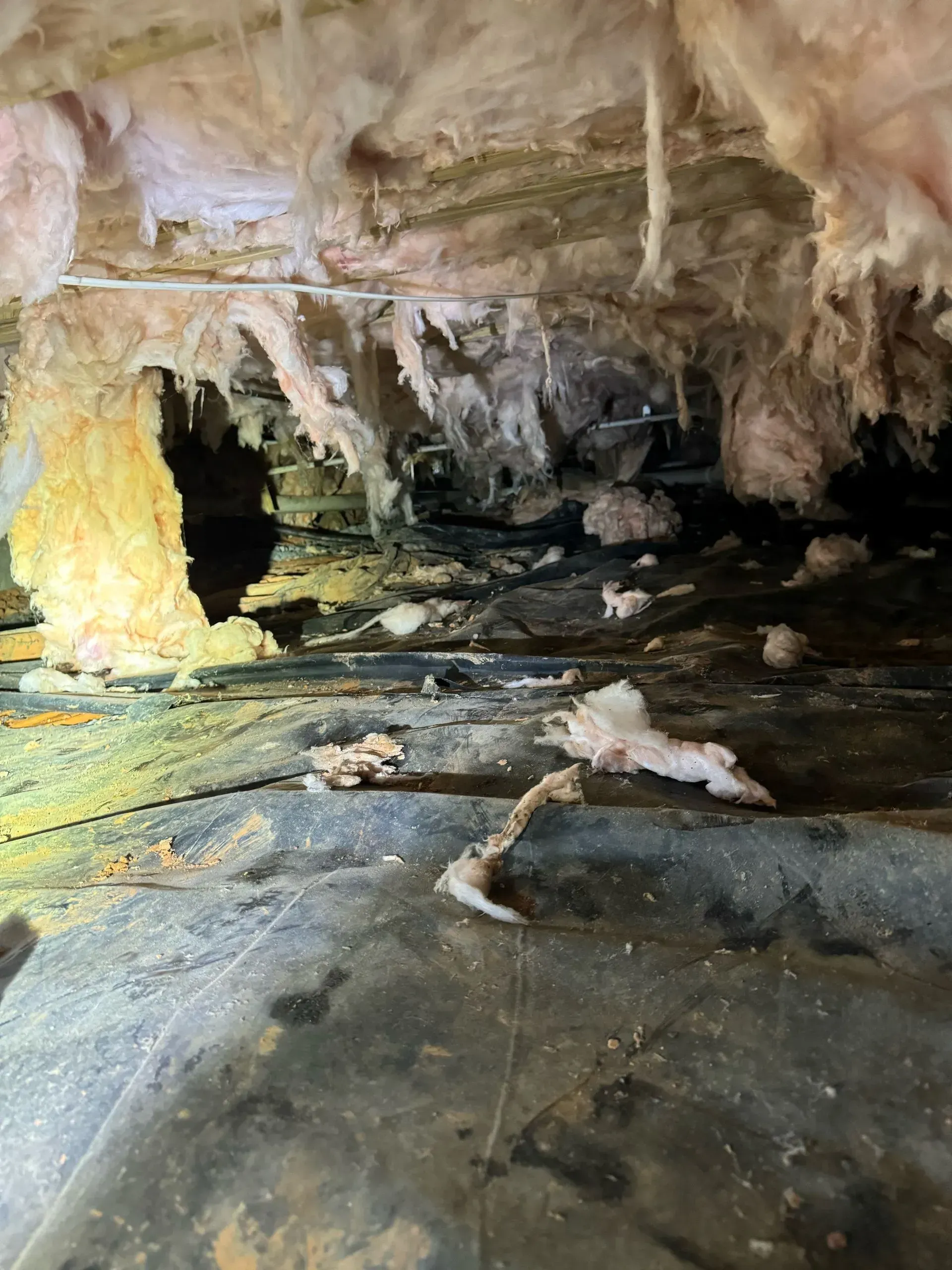 It looks like a cave with a lot of insulation hanging from the ceiling.