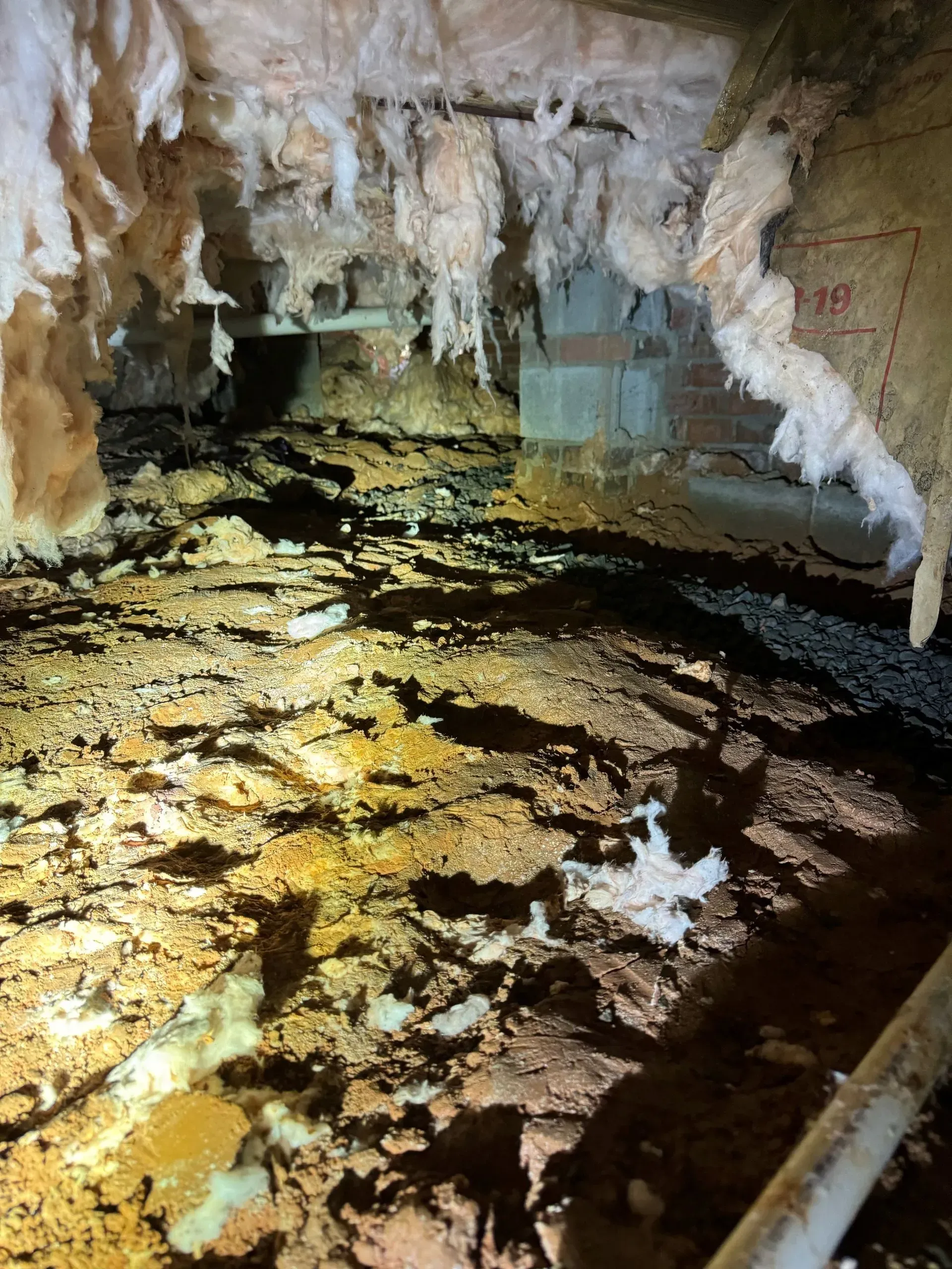 There is a lot of dirt in the crawl space of a house.