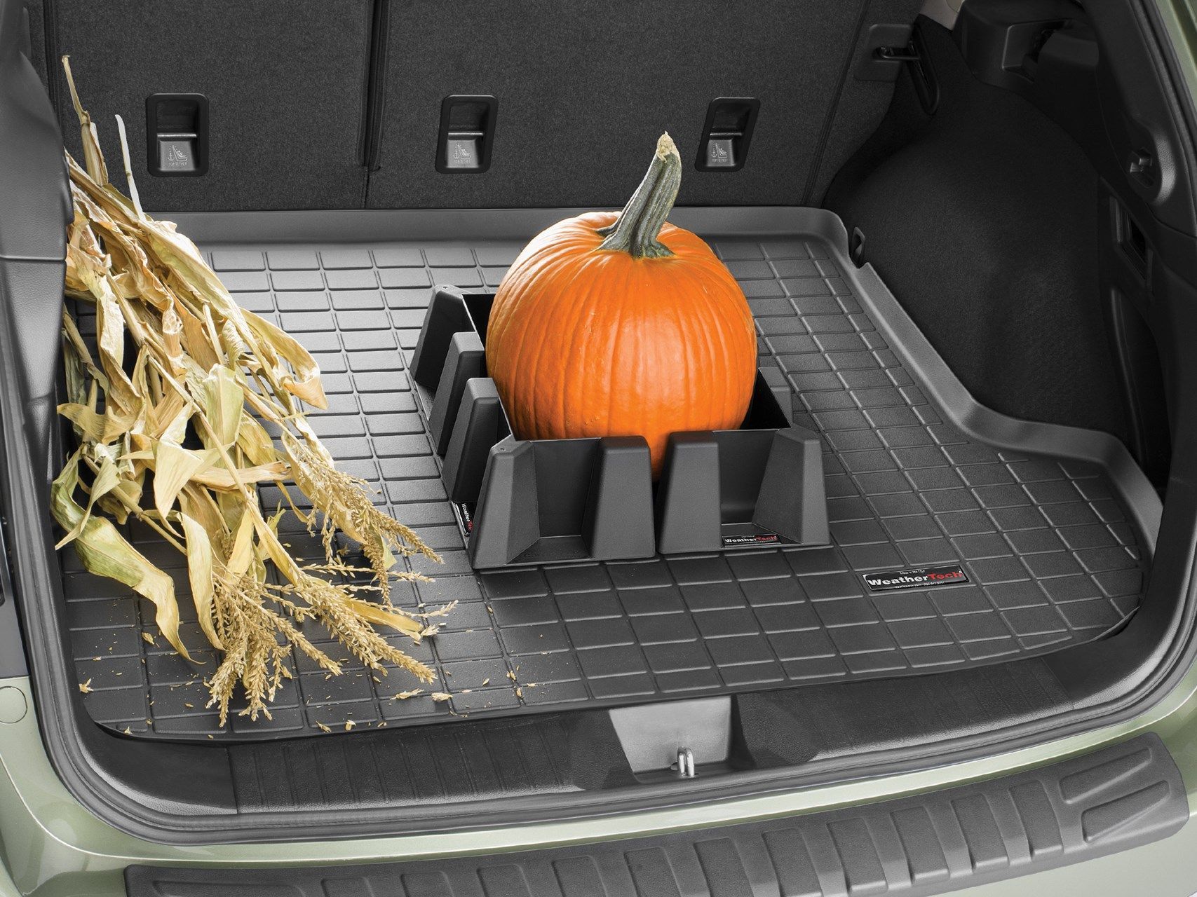 A pumpkin is in the trunk of a car
