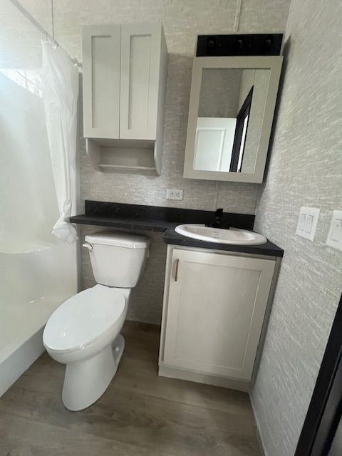 A bathroom with a toilet , sink and mirror.
