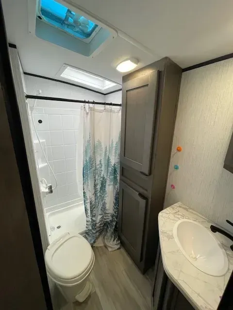 A bathroom with a toilet , sink , shower and skylight.