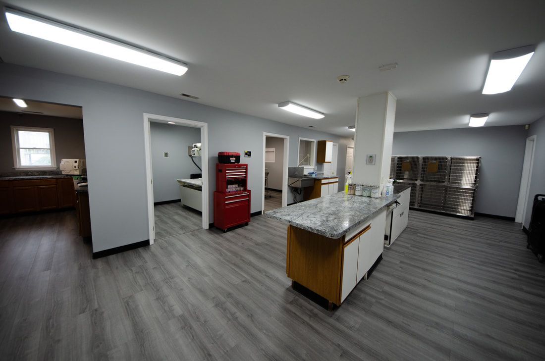 Treatment Room